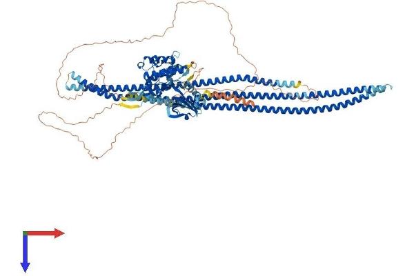 STK10-A Protein (AA 1-966) (His tag)