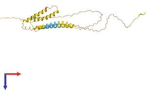 ODF4 Protein (AA 1-257) (His tag)