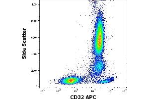 Flow cytometry surface staining pattern of human peripheral whole blood stained using anti-human CD32 (3D3) APC antibody (10 μL reagent / 100 μL of peripheral whole blood). (Fc gamma RII (CD32) Antikörper (APC))
