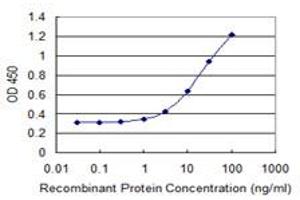 Detection limit for recombinant GST tagged LONRF2 is 0. (LONRF2 Antikörper  (AA 1-108))