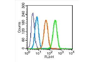 MCF7 cells were incubated in 5% BSA blocking buffer for 30 min at room temperature. (FSHR Antikörper  (AA 21-100))