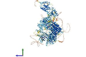 Protein Structure (PS) image for Eukaryotic Translation Initiation Factor 2 alpha Kinase 4 (EIF2AK4) (AA 1-1649) protein (His tag) (ABIN7553734)
