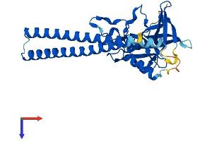 SGF29 Protein (AA 1-293) (His tag)