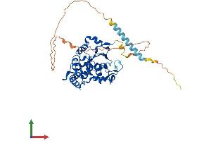 Protein Structure (PS) image for Heparan Sulfate (Glucosamine) 3-O-Sulfotransferase 3A1 (HS3ST3A1) (AA 1-406) protein (His tag) (ABIN7554127)
