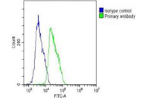 Flow Cytometry (FACS) image for anti-ELAV (Embryonic Lethal, Abnormal Vision, Drosophila)-Like 1 (Hu Antigen R) (ELAVL1) antibody (ABIN652911)
