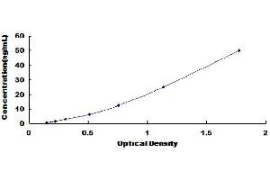 Typical Standard Curve (Leptin Receptor ELISA Kit)
