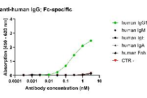 Different human IgG subclasses were coated on an ELISA plate at 100 ng. (Rekombinanter Maus anti-Human IgG (Fc Region) Antikörper (HRP))