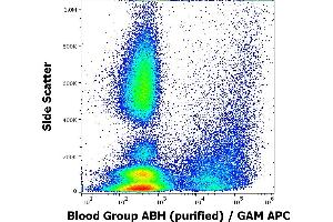 Flow cytometry surface staining pattern of human peripheral whole blood from group A donor stained using anti-blood group ABH (HE-10) purified antibody (concentration in sample 4 μg/mL, GAM APC). (Blood Group ABH Antikörper)