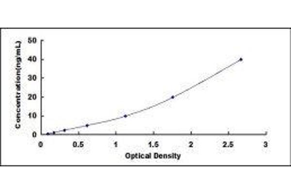 DPP4 ELISA Kit