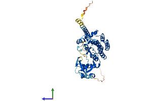 Protein Structure (PS) image for serine/threonine/tyrosine Kinase 1 (STYK1) (AA 1-422) protein (His tag) (ABIN7546456)