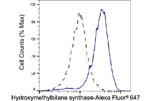Validation of Hydroxymethylbilane synthase knockdown using flow cytometry. (Rekombinanter HMBS Antikörper)