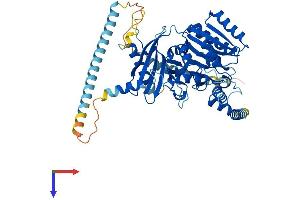 CSGALNACT2 Protein (AA 1-542) (His tag)
