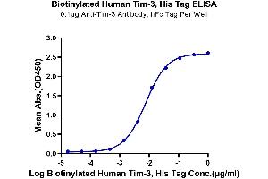 ELISA image for Hepatitis A Virus Cellular Receptor 2 (TIM 3) (AA 22-200) protein (His-Avi Tag,Biotin) (ABIN7275739)