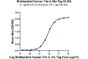 Immobilized Anti-Tim-3 Antibody, hFc Tag at 1 μg/mL (100 μL/well) on the plate. (TIM3 Protein (AA 22-200) (His-Avi Tag,Biotin))