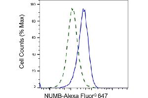 Validation of NUMB knockdown using flow cytometry. (Rekombinanter NUMB Antikörper)