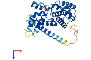 Cyclin D2 Protein (CCND2) (AA 1-289) (His tag)