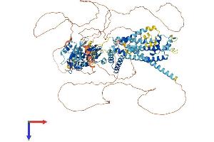 KCNH8 Protein (AA 1-1107) (His tag)