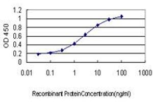 Detection limit for recombinant GST tagged POU3F2 is approximately 0. (POU3F2 Antikörper  (AA 1-67))