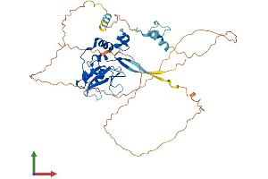 Protein Structure (PS) image for Suppressor of Cytokine Signaling 4 (SOCS4) (AA 1-436) protein (His tag) (ABIN7560132)