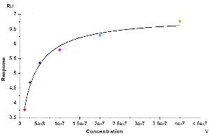 Surface Plasmon Resonance (SPR) image for Interleukin 2 Receptor, gamma (IL2RG) (AA 23-254) protein (Fc Tag) (ABIN7274070)