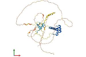 Protein Structure (PS) image for Engrailed Homeobox 1 (EN1) (AA 1-392) protein (His tag) (ABIN7548343)