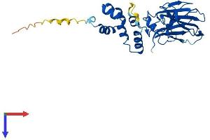 FBXO27 Protein (AA 1-283) (His tag)