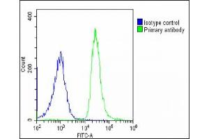 Flow Cytometry (FACS) image for anti-SHC (Src Homology 2 Domain Containing) Transforming Protein 2 (SHC2) (AA 129-163) antibody (ABIN6242869)