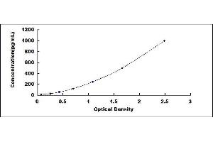 Typical standard curve (Fibulin 5 ELISA Kit)