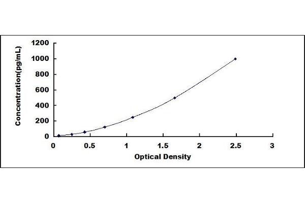 Fibulin 5 ELISA Kit