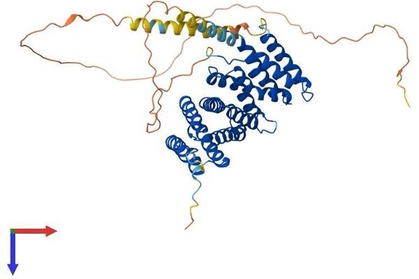 RRP1 Protein (AA 1-461) (His tag)