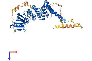 FKBP8 Protein (AA 1-402) (His tag)