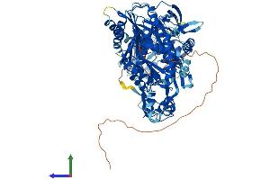 Protein Structure (PS) image for Piwi-Like 4 (PIWIL4) (AA 1-852) protein (His tag) (ABIN7554969)