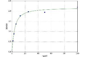 A typical standard curve (Hemoglobin Subunit beta ELISA Kit)