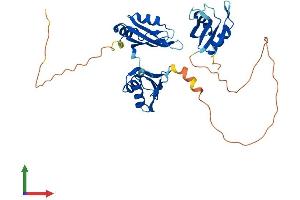 Protein Structure (PS) image for ELAV (Embryonic Lethal, Abnormal Vision, Drosophila)-Like 2 (Hu Antigen B) (ELAVL2) (AA 1-360) protein (His tag) (ABIN7557633)