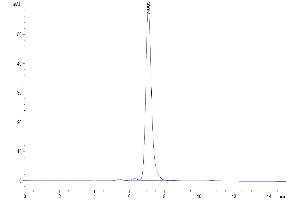 Size-exclusion chromatography-High Pressure Liquid Chromatography (SEC-HPLC) image for Ephrin B2 (EFNB2) (AA 28-229) protein (Fc Tag) (ABIN7274531)