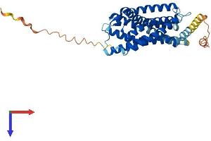 G Protein-Coupled Receptor 25 (GPR25) (AA 1-361) protein (His tag)