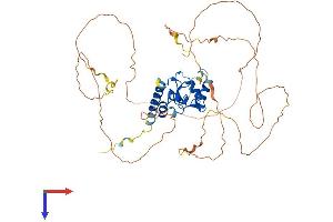 AGFG2 Protein (AA 1-479) (His tag)