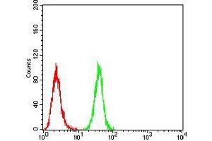 Flow Cytometry (FACS) image for anti-Bone Morphogenetic Protein 2 (BMP2) (AA 283-396) antibody (ABIN5542284)