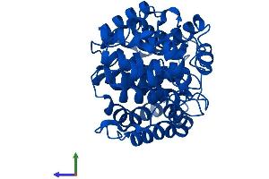 Protein Structure (PS) image for ADP-Ribosylarginine Hydrolase (ADPRH) (AA 1-357) protein (His tag) (ABIN7552102)