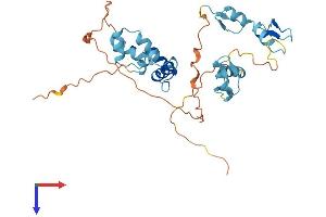 ZNF444 Protein (AA 1-327) (His tag)