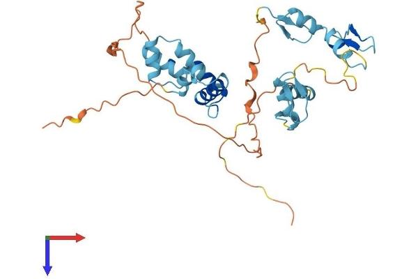 ZNF444 Protein (AA 1-327) (His tag)