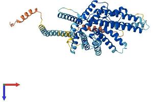 SOAT1 Protein (AA 1-540) (His tag)