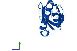 Protein Structure (PS) image for LSM2 Homolog, U6 Small Nuclear RNA Associated (LSM2) (AA 1-95) protein (His tag) (ABIN7549165)