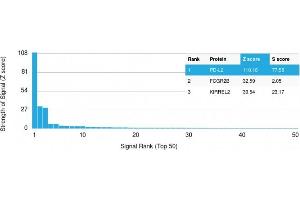 Analysis of Protein Array containing more than 19,000 full-length human proteins using PD-L2 Mouse Monoclonal Antibody (PDL2/2676) Z- and S- Score: The Z-score represents the strength of a signal that a monoclonal antibody (MAb) (in combination with a fluorescently-tagged anti-IgG secondary antibody) produces when binding to a particular protein on the HuProtTM array. (PDCD1LG2 Antikörper  (AA 27-220))