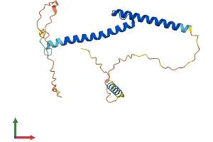 Protein Structure (PS) image for Myogenin (Myogenic Factor 4) (MYOG) (AA 1-224) protein (His tag) (ABIN7554657)
