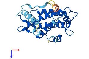 MOBKL2A Protein (AA 1-217) (His tag)