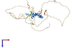 SSBP3 Protein (AA 1-388) (His tag)