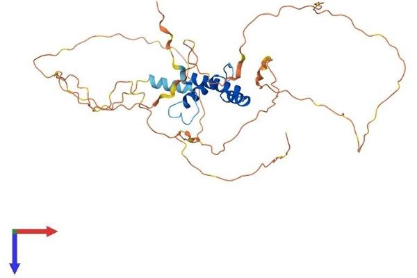 SSBP3 Protein (AA 1-388) (His tag)