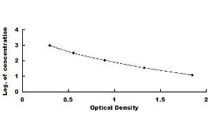 FGF2 ELISA Kit