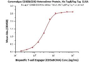 Immobilized Cynomolgus CD3E&CD3D Heterodimer Protein, His Tag & Flag Tag (ABIN2444077,ABIN2444076) at 2 μg/mL, add increasing concentrations of Bispecific T cell Engager (CD3 X BCMA) and then add Biotinylated BCMA Fc,Avitag (ABIN3137676,ABIN4369373) at 0.